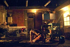 Orsi Tóthin esittämä Lucy kokee näyttämöllä poikkeuksellisen kovia. (Kuva: Martón Ágh)